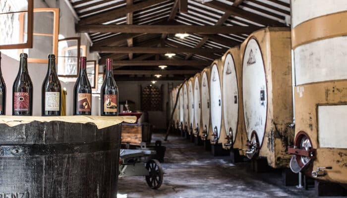 Cantina Paltrinieri  італійське вино