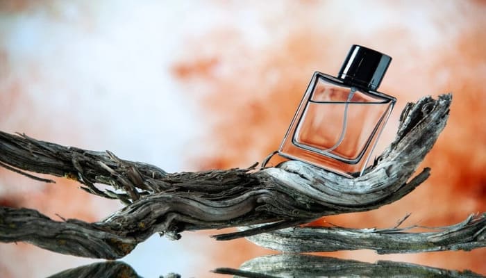 Уникальные черты духов Tom Ford