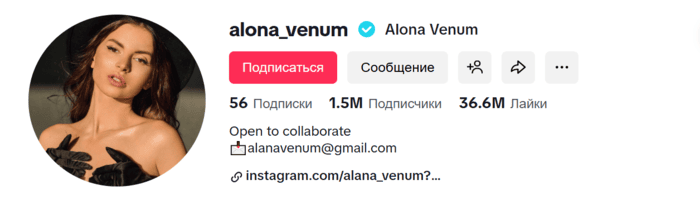 Алены Венум Youtube TikTok