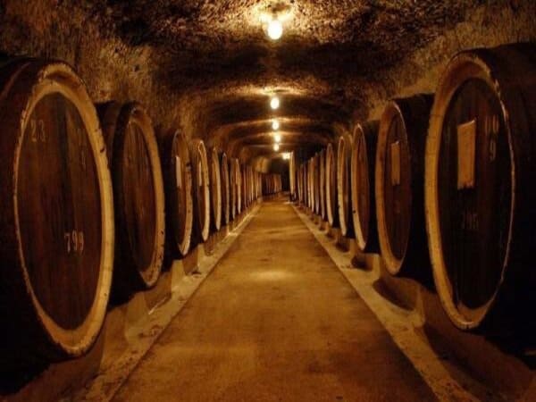 Старовинні винні підвали Закарпаття