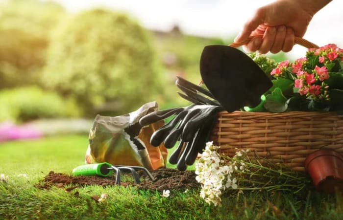 Полезные советы для хорошего урожая огород