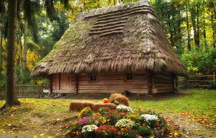 Шевченківський гай - фотолокації Львова